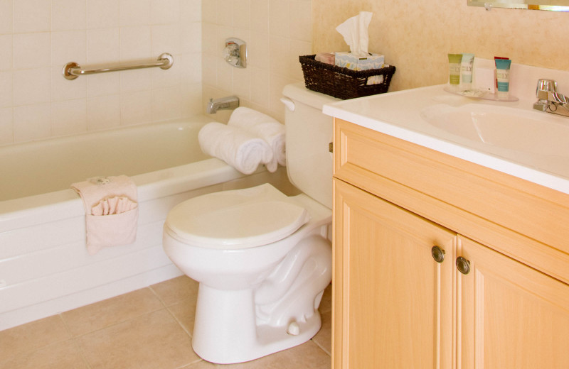 Guest bathroom at Heather Lodge.