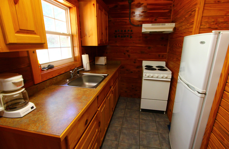 Cabin kitchen at Ozark Cabins.