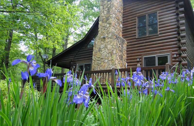 Sundance Cabin Rentals Blue Ridge Ga Resort Reviews