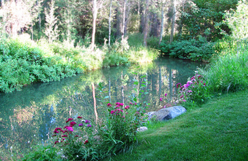 Flowers By Stream at The Wildflower Inn