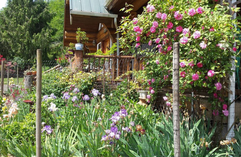 Garden at Powder Creek Ranch.