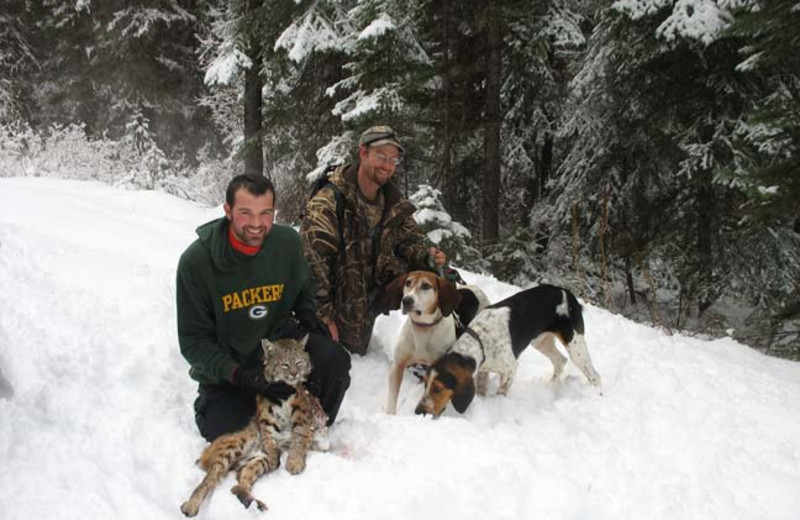 Bobcat hunting at Silver Spur Outfitters.