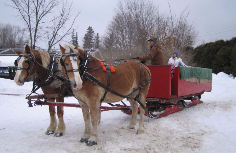 Winter sleigh at Quarterdeck Resort.