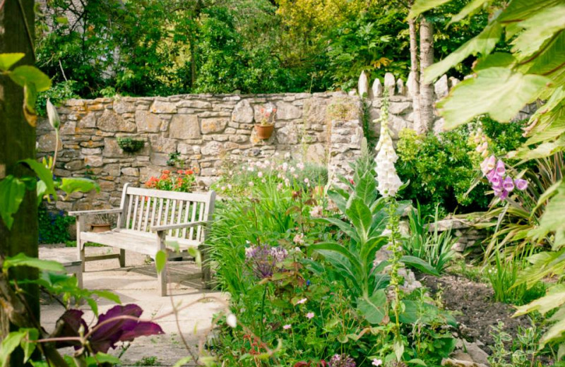 Garden view at Corfe Gate House.