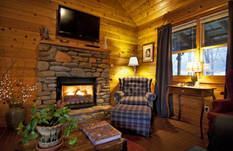 Cabin Living Area at Mountain Springs Cabins