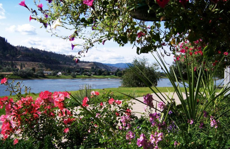 River view at South Thompson Inn & Conference Centre.