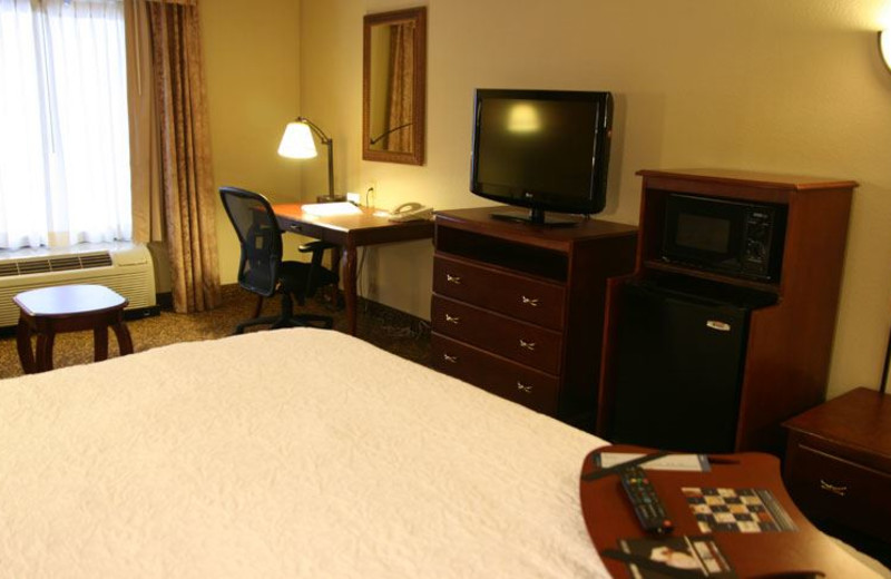 Guest Room at Hampton Inn Oneonta