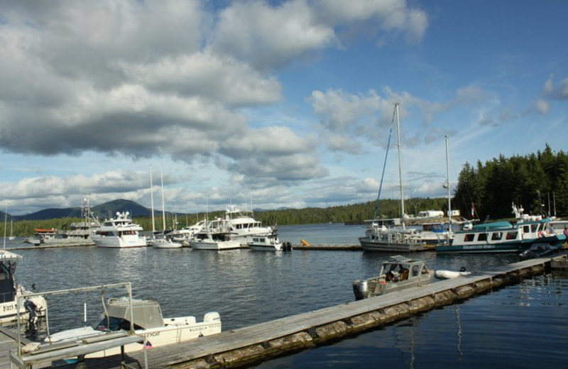 Boats by the docks at Shearwater Resort & Marina.