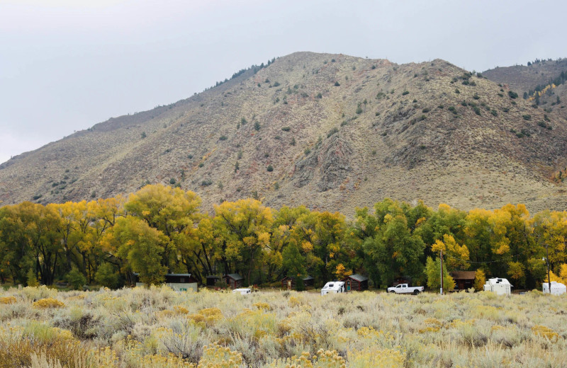RV campground at Woods Landing.