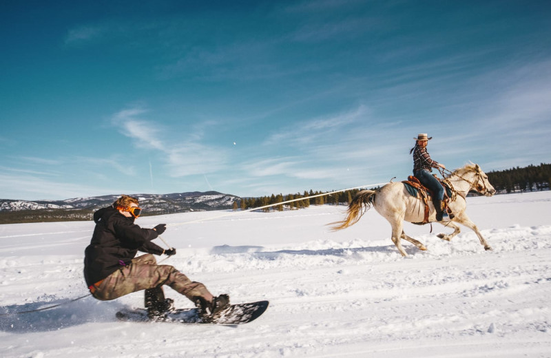 Skijoring at The Green O.