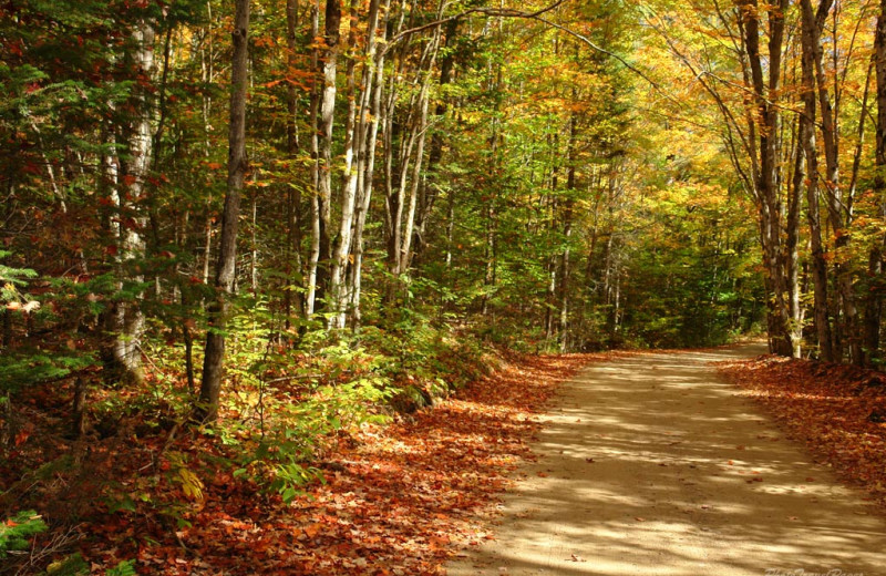 Fall road at Fernwood Resort.