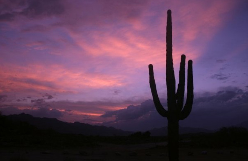 Sunset at Canyon Ranch Tucson.