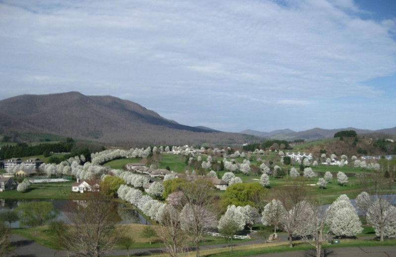 Scenic view at Jefferson Landing.