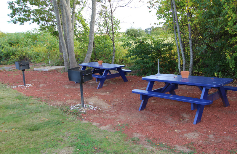 Picnic tables at Mariner Resort.