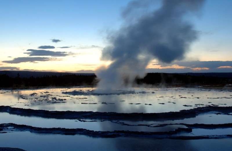 Yellowstone National Park near Shoshone Lodge & Guest Ranch.