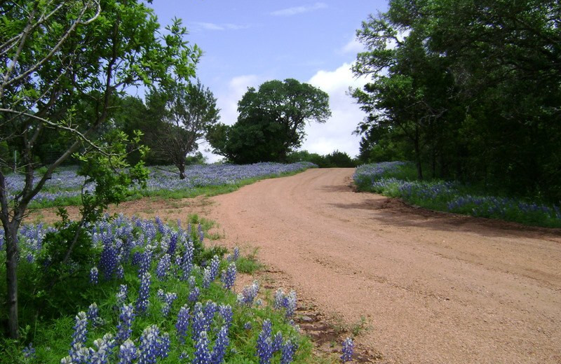 Path at Reveille Peak Ranch.