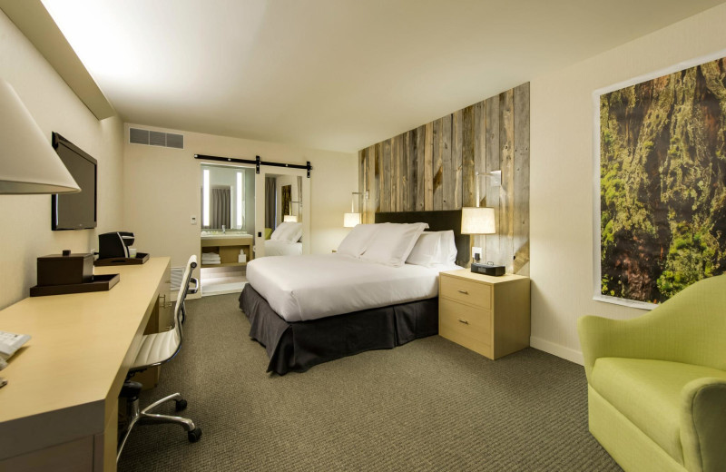 Guest Room at Hotel Paradox