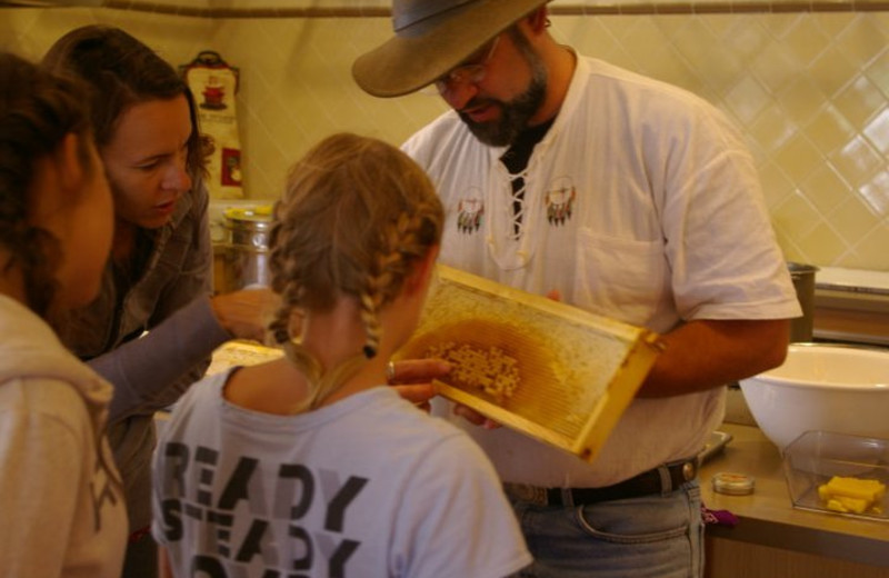 Honey Harvest at Carmel Valley Ranch