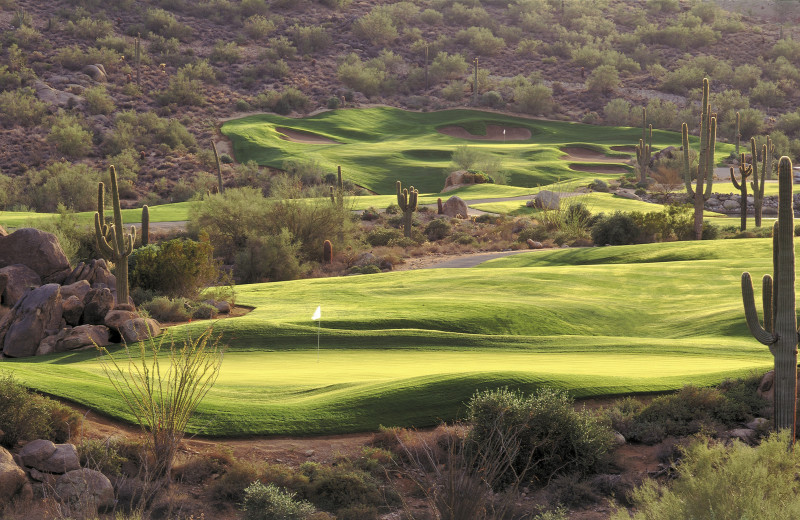 Golf course at Meridian Condo Resorts.