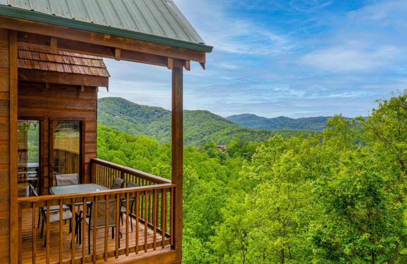 Cabin deck at American Patriot Getaways, LLC.