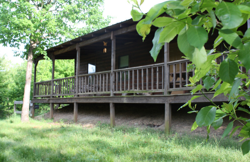 Deer Run at Heath Valley Cabins