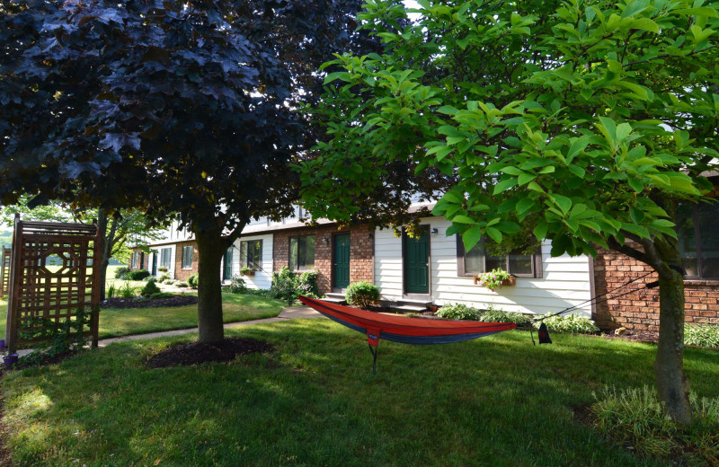 Hammock at Hop & Vine Inn.