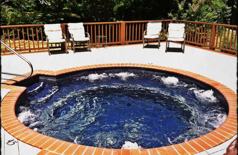 Hot tub at Dahlonega Spa Resort.