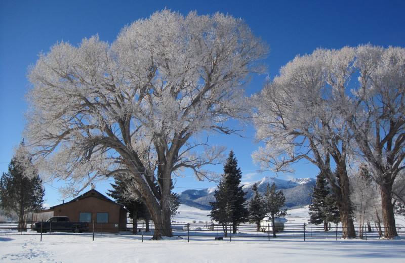 Winter solitude 