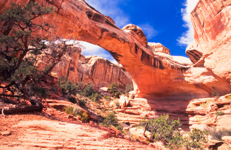 Capitol Reef National Park near Broken Spur Inn & Steakhouse.