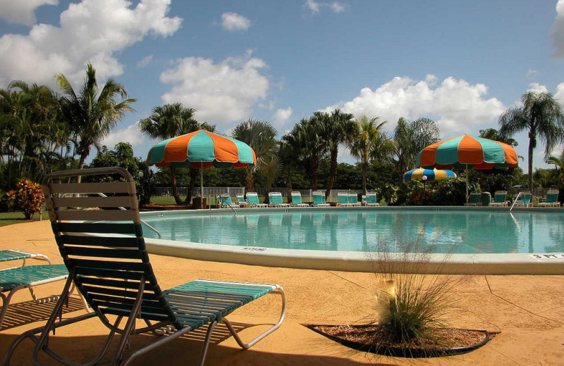 Outdoor swimming pool at Miami Everglades.