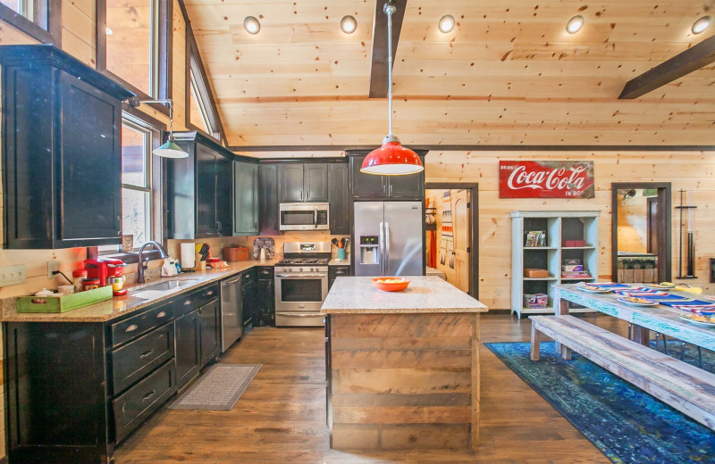 Cabin kitchen at Blue Beaver Luxury Cabins.