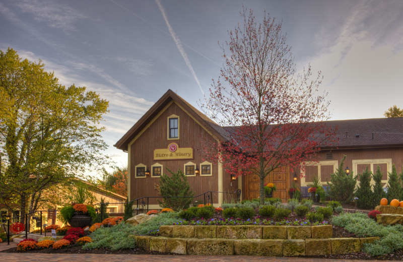 The Bistro at Gervasi Vineyard