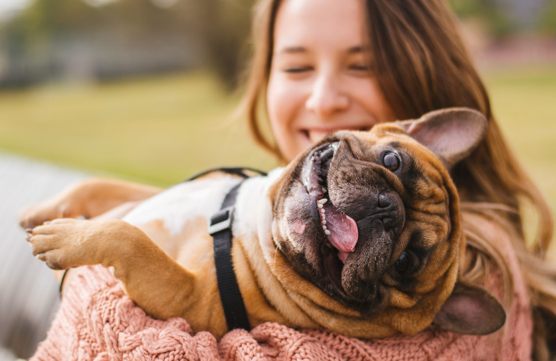 Pets welcome at Stony Brook Cabins LLC.