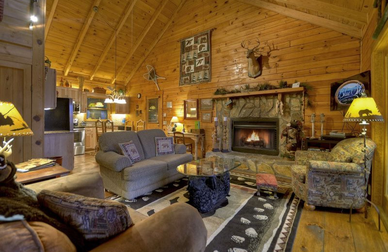 Rental living room at Blue Sky Cabin Rentals.