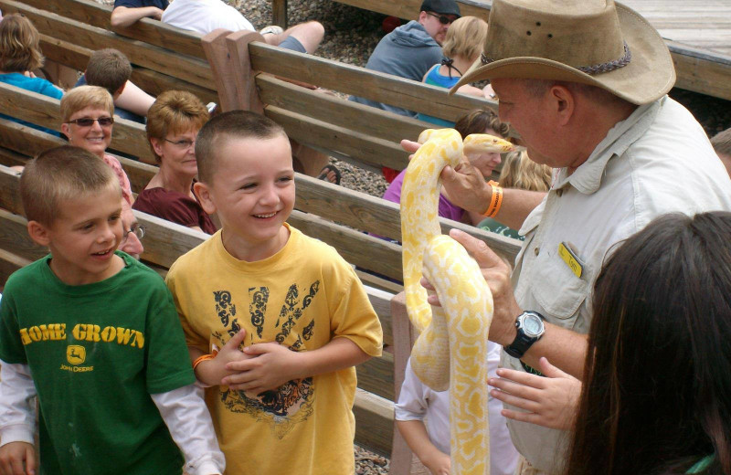 Reptile show at Warrens Lodging.