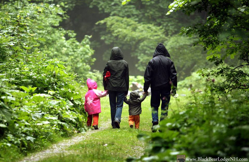 Family hiking near Black Bear Lodge.