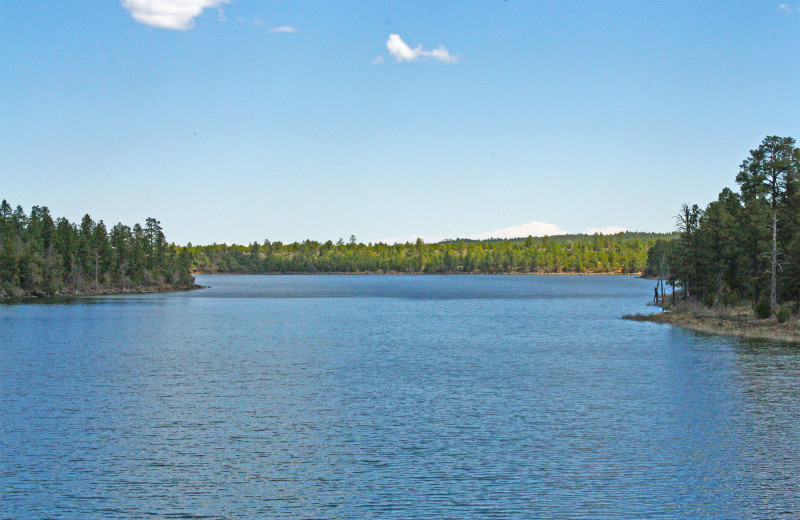 Lake view at Tenney Properties.