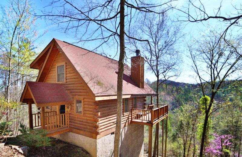 Ooh La La cabin at Little Valley Mountain Resort