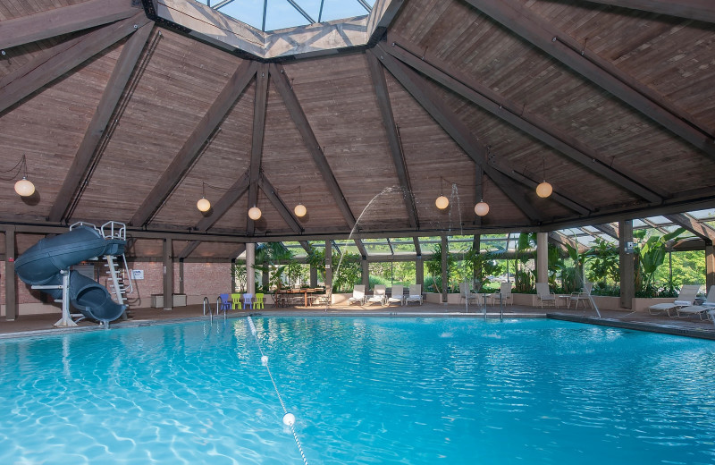 Indoor pool at Hilton Chicago/Indian Lakes Resort.