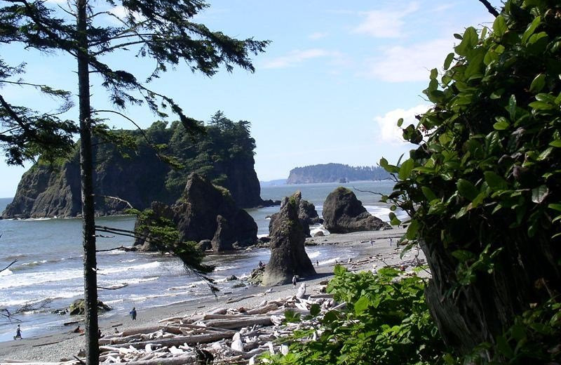 Beach near Olympic View Cabins.