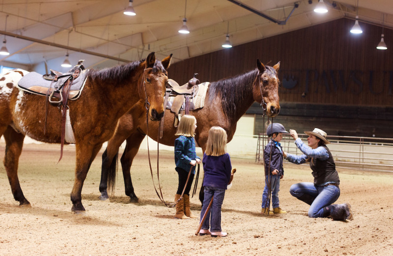 Horse sessions at The Resort at Paws Up.