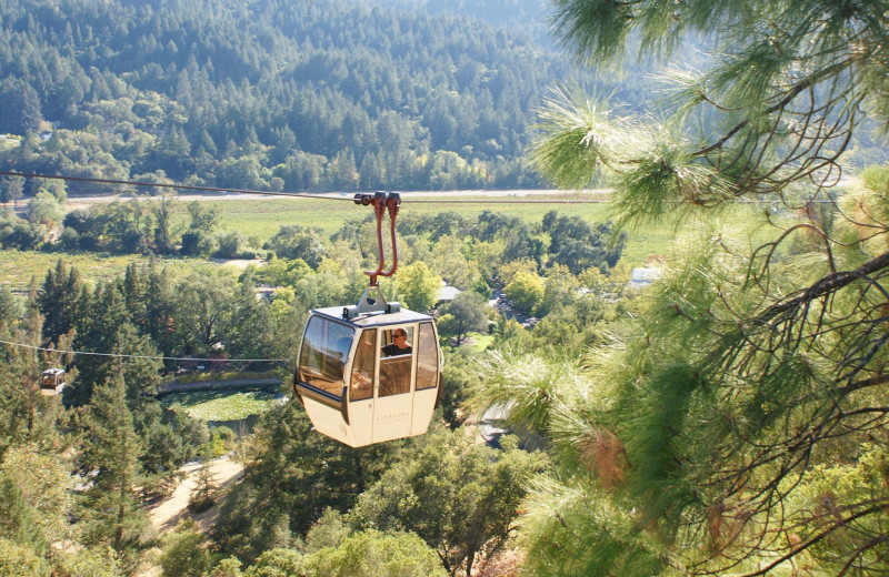 Gondola near Cottage Grove Inn.