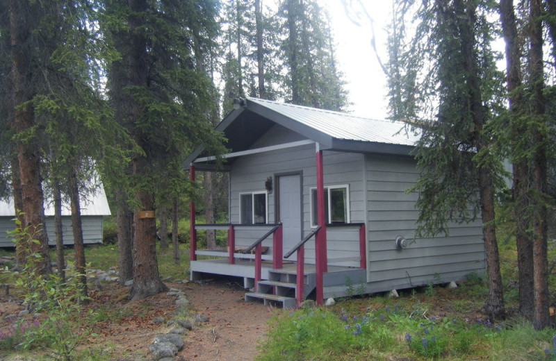 Cabin exterior at Denali Perch Resort.