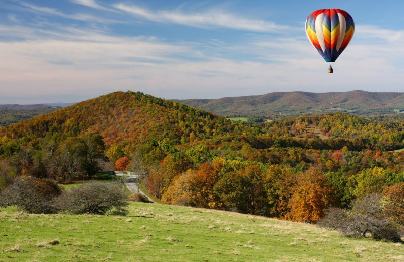 Hot air balloon at The Depe Dene Resort.