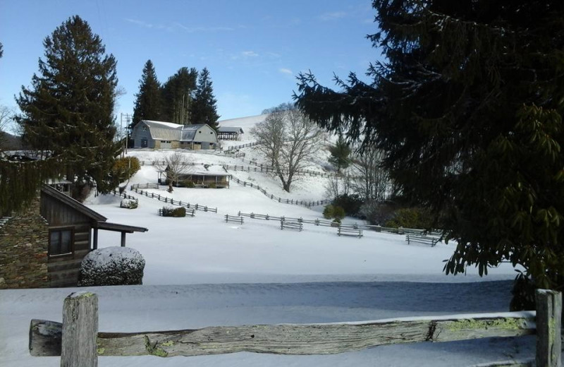 Winter at Cataloochee Ranch.