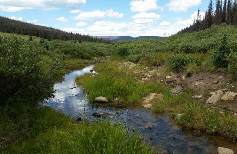 Fishing at Tomahawk Guest Ranch.