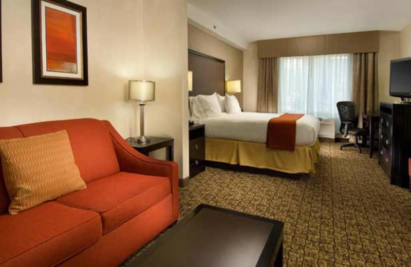 King Suite at Holiday Inn Express Alexandria