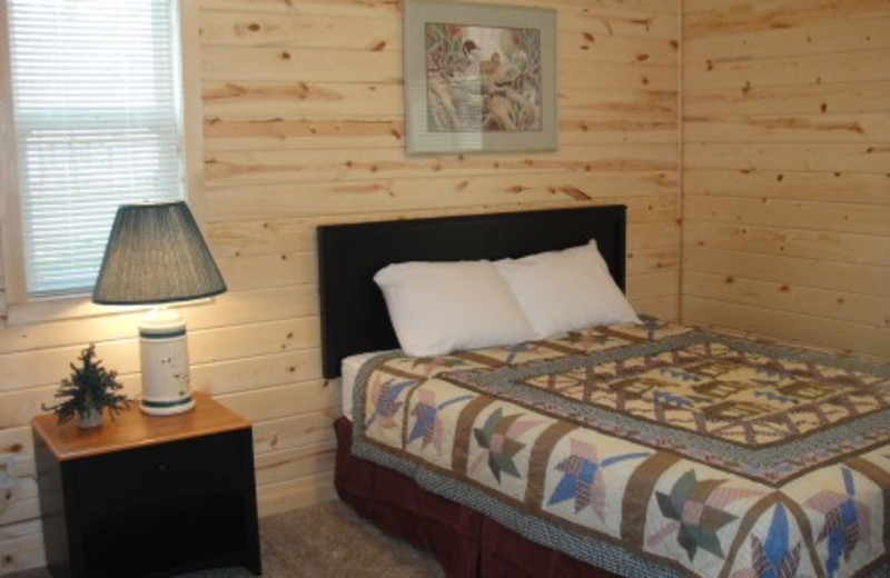 Pineview Lodge - 4 bedrooms