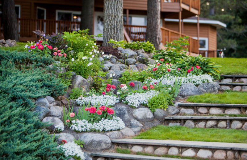 Gardens overlooking the beach at Half Moon Trail Resort. The gardens and grounds are immaculate and well groomed. 