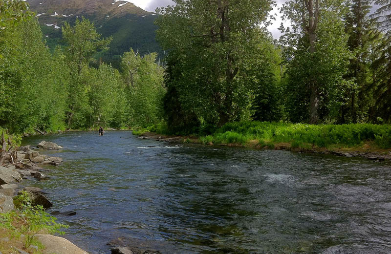 River at Kenai River Drifters Lodge.